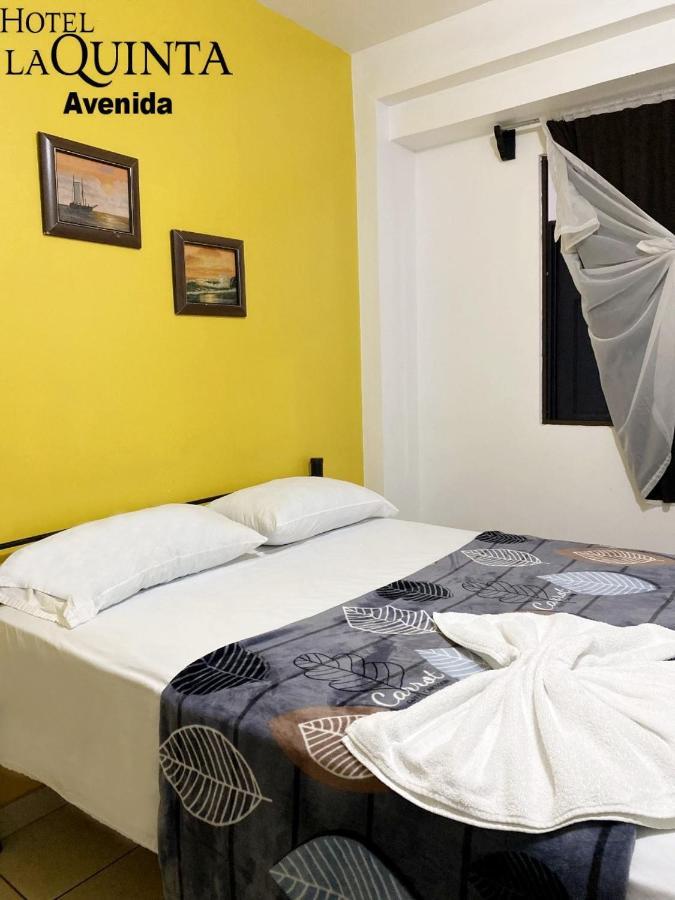 Hotel Quinta Avenida San José Dış mekan fotoğraf