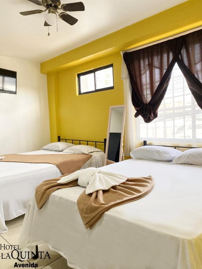 Hotel Quinta Avenida San José Dış mekan fotoğraf