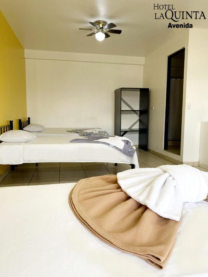 Hotel Quinta Avenida San José Dış mekan fotoğraf