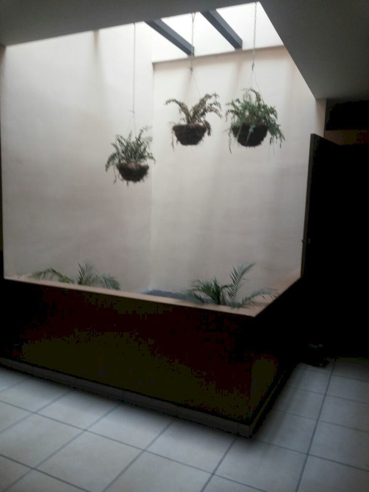 Hotel Quinta Avenida San José Dış mekan fotoğraf